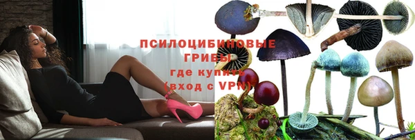 скорость Зеленодольск